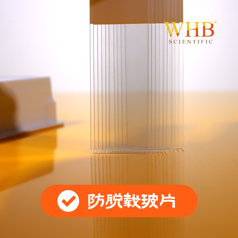 防脱载玻片