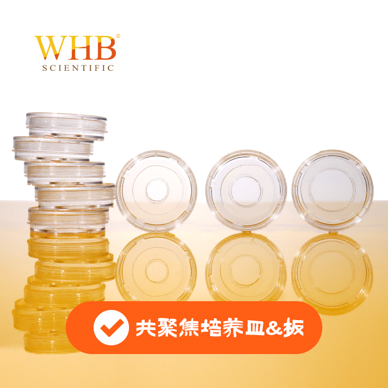激光共聚焦培养皿