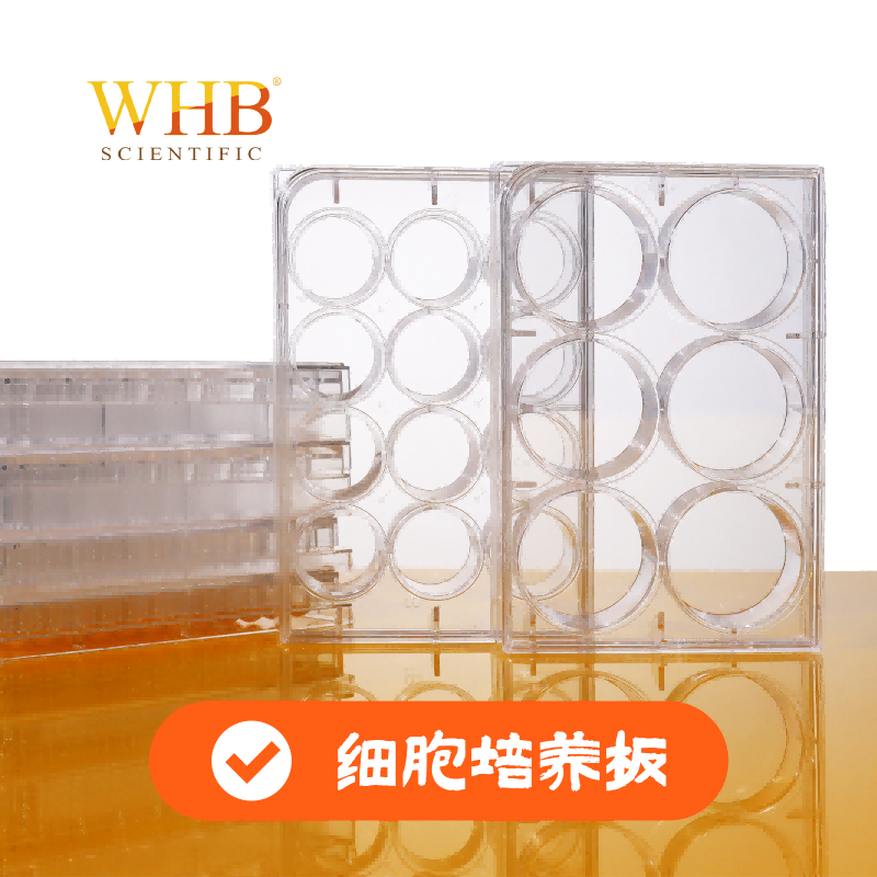 细胞培养板
