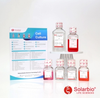 兔血清（无菌过滤）