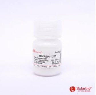 胰蛋白酶1:250