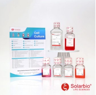 胰蛋白酶消化液(0.25%) 含酚红