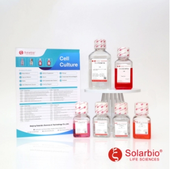 间充质干细胞无血清培养基