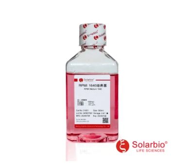 RPMI Medium 1640（含双抗）