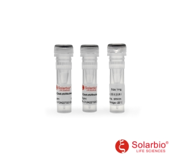 羊抗小鼠IgG(纯化)