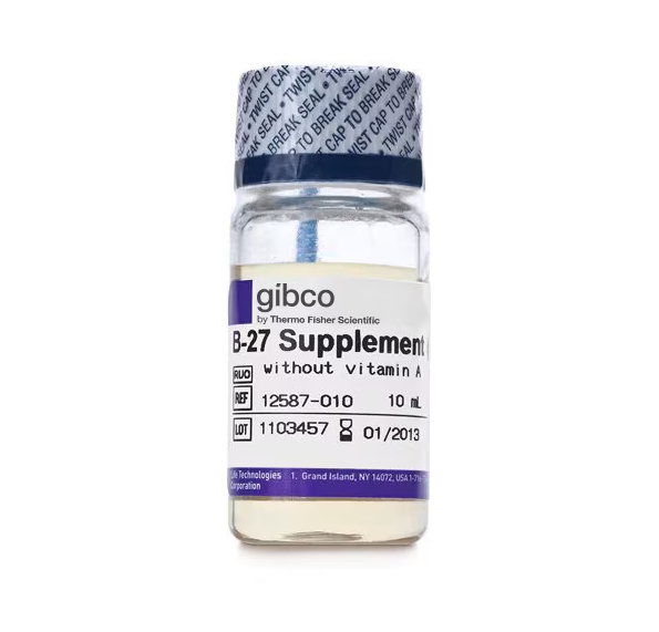 B-27™ 添加剂 (50X)，去除维生素 A