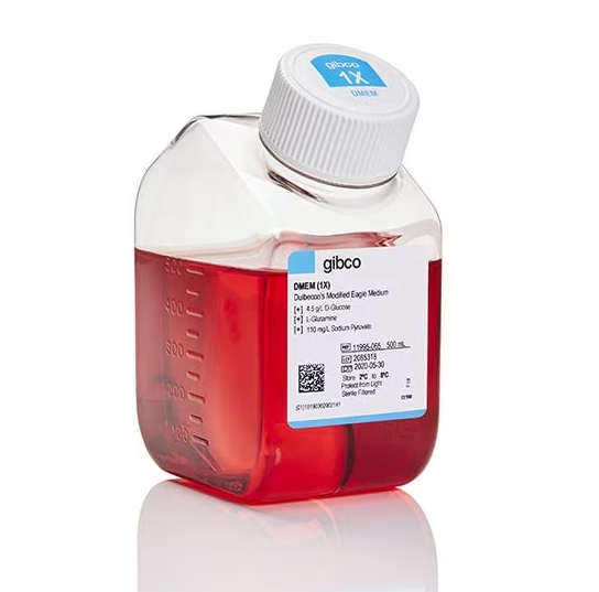 DMEM，高糖，含丙酮酸盐