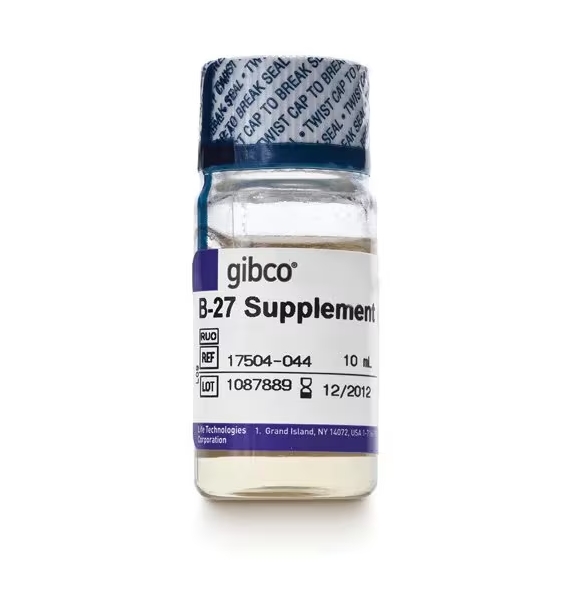 B-27™ 添加剂 (50X)，无血清