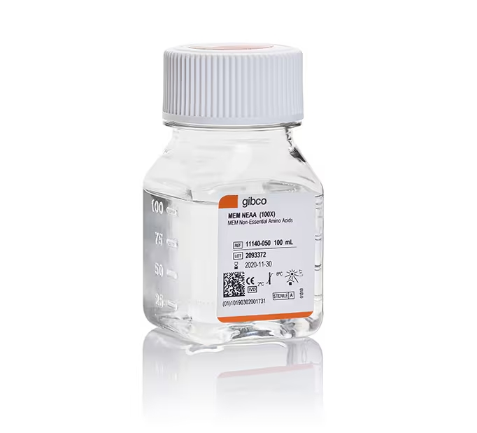 MEM 非必需氨基酸溶液 (100X)