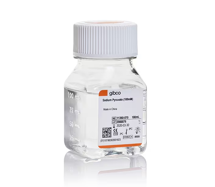 丙酮酸钠 (100 mM)