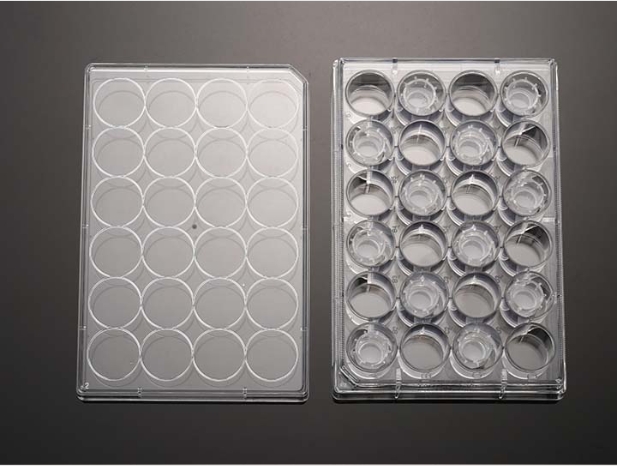 PC膜插入式培养皿
