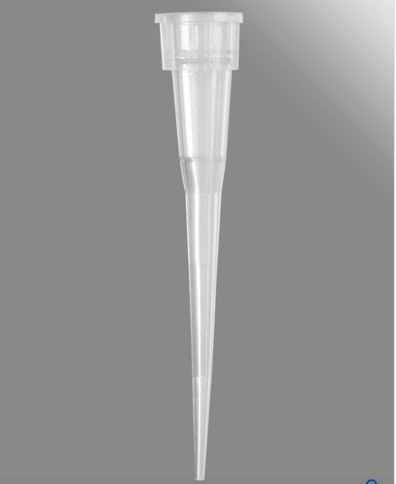 Axygen® 10 µL移液器吸头，不带滤芯，透明，大包装，1000个吸头/包，20包/箱