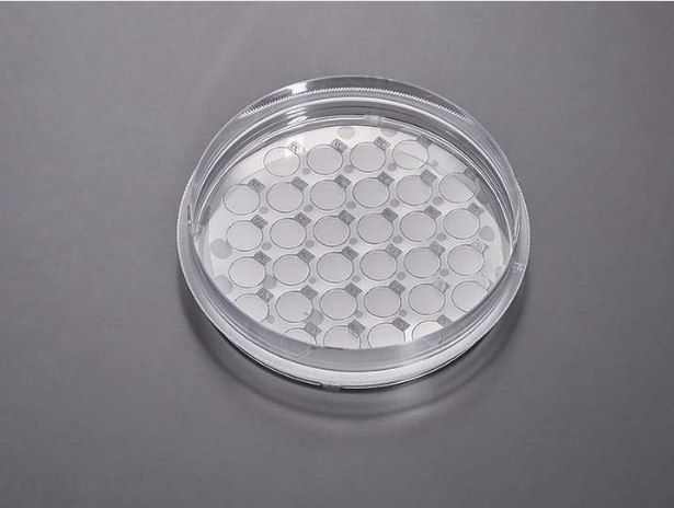 细胞爬片培养皿