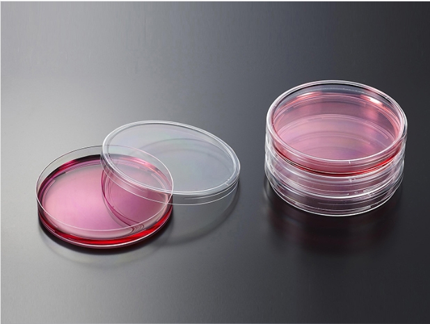 一次性细菌培养皿