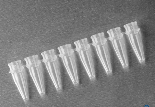 Axygen® 0.2 mL聚丙烯PCR联排管，8联管，透明，非灭菌