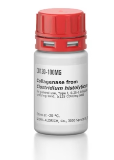 胶原酶 来源于溶组织梭菌