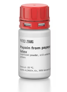 木瓜蛋白酶 来源于木瓜乳液