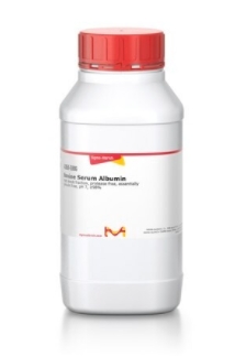 牛血清白蛋白 来源于牛血清