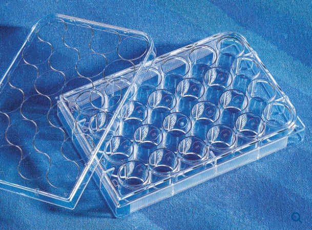 Costar® 24孔透明经TC处理多孔板，独立包装，无菌