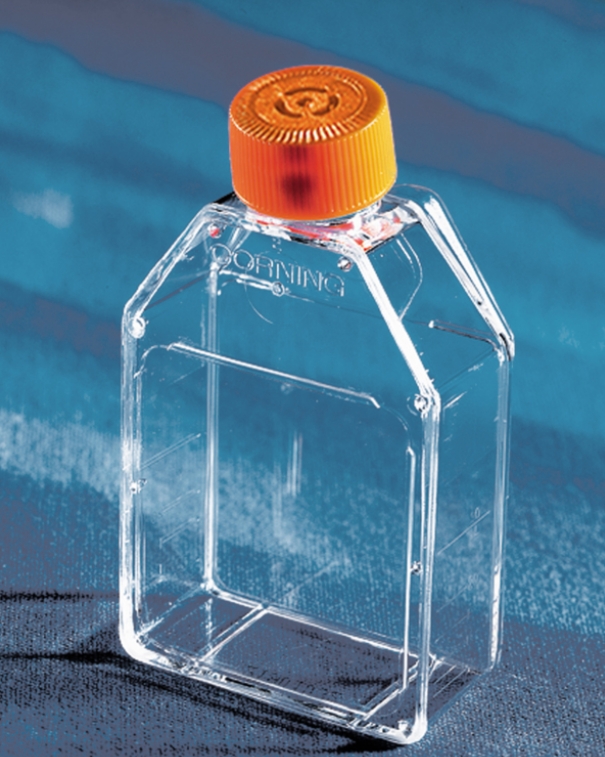 Corning® 25cm²长方形斜颈细胞培养瓶，带透气盖