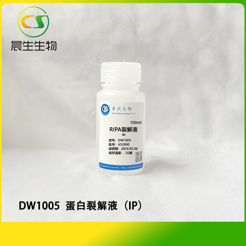 蛋白裂解液（IP）