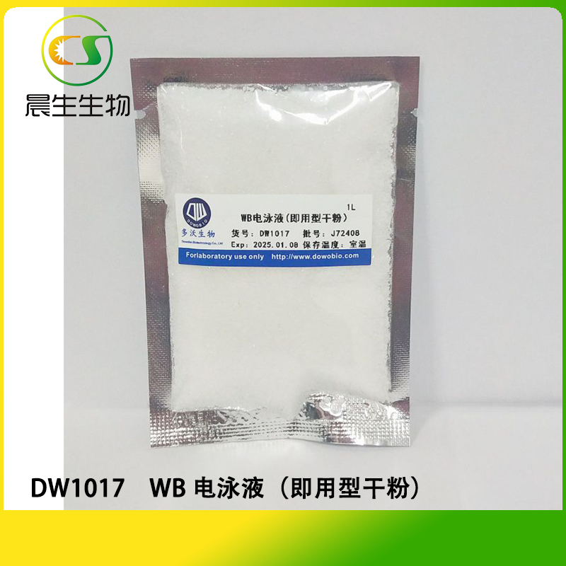 WB 电泳液（即用型干粉）