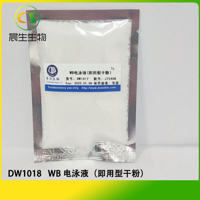 WB 电泳液（即用型干粉）