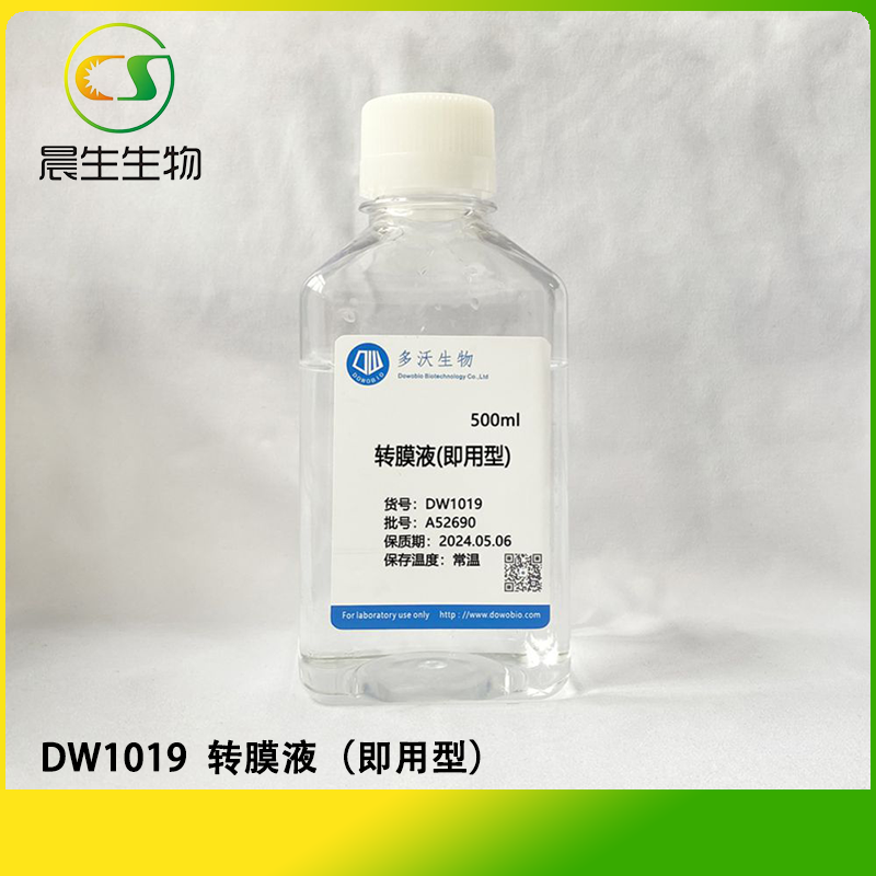 转膜液（即用型）