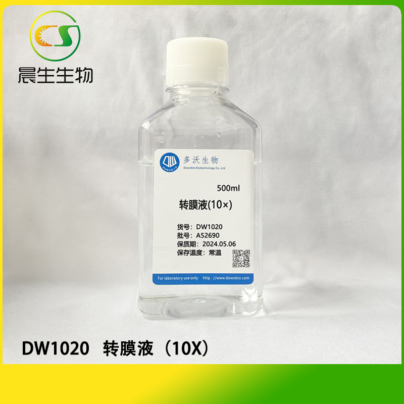转膜液（10X）