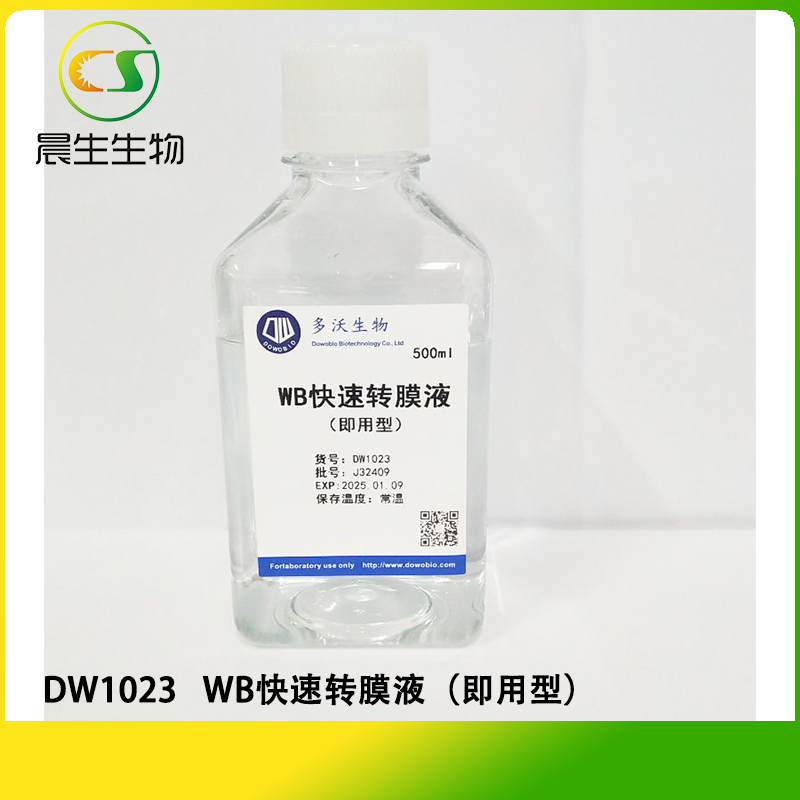WB快速转膜液（即用型）
