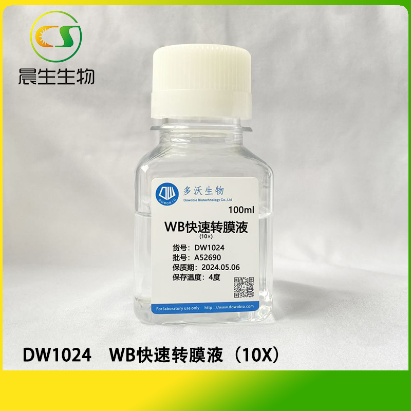 WB快速转膜液（10X）