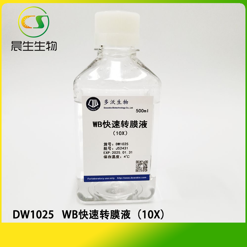 WB快速转膜液（10X）