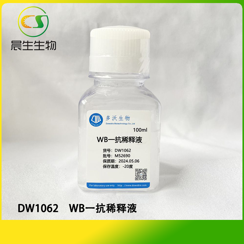 WB一抗稀释液