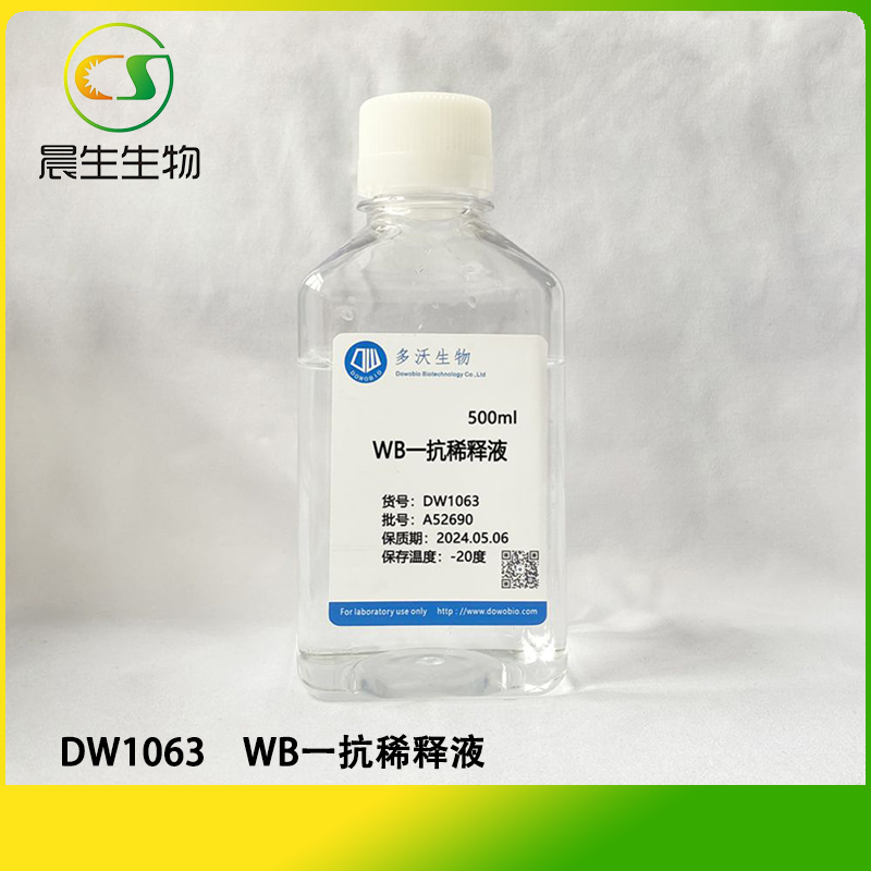 WB一抗稀释液