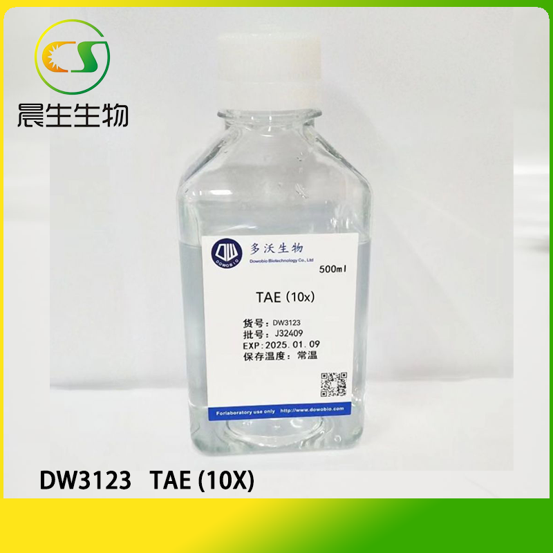 TAE (10X)