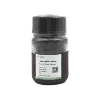  苯基（2,4,6-三甲基苯甲酰基） 磷酸锂(LAP)