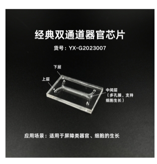 经典双通道器官芯片