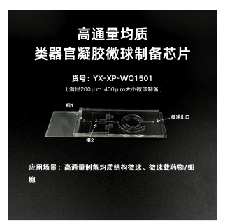 高通量均质类器官凝胶微球制备芯片（适用于200-400μm微球制备）