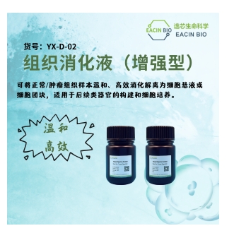 组织消化液（增强型）Tissue Digestion Solution (Enhanced)