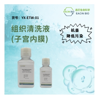 子宫内膜组织清洗液（Human Endometrium tissue washing solution）