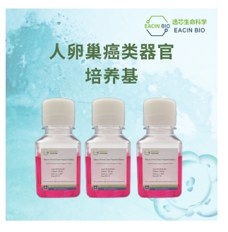 人卵巢癌类器官培养基（ Human Ovarian Cancer Organoid Medium ）