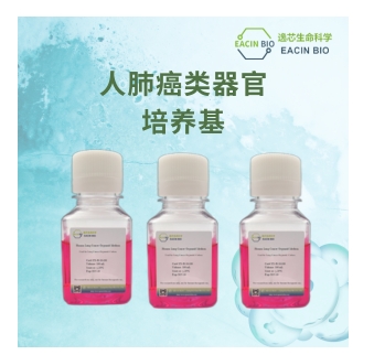 人肺癌类器官培养基 （Human Lung Cancer Organoid Medium）