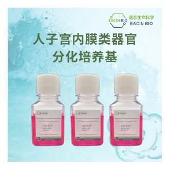 人子宫内膜类器官分化培养基（Human Endometrium Organoid Differentiation Medium ）