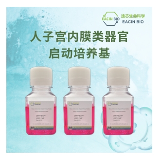 人子宫内膜类器官启动培养基（Human Endometrium Organoid Priming Medium ）
