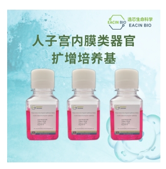 人子宫内膜类器官扩增培养基（Human Endometrium Organoid Amplification Medium ）