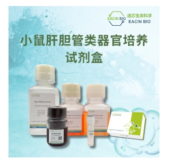 小鼠肝胆管类器官培养试剂盒（Mouse Liver Organoid Culture Medium Kit ）