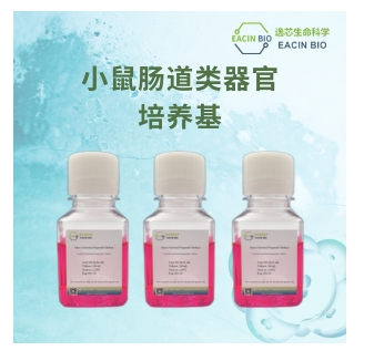 小鼠肠道类器官培养基（Mouse Intestinal Organoid Medium ）