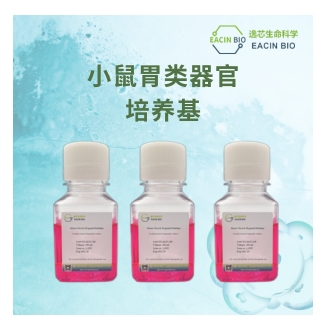 小鼠胃类器官培养基（Mouse Gastric Organoid Medium ）