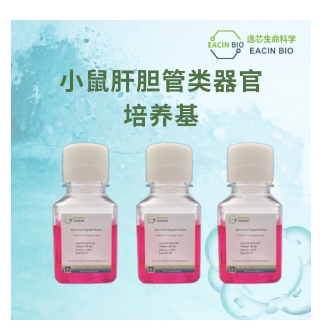 小鼠肝胆管类器官培养基（Mouse Liver Organoid Medium ）