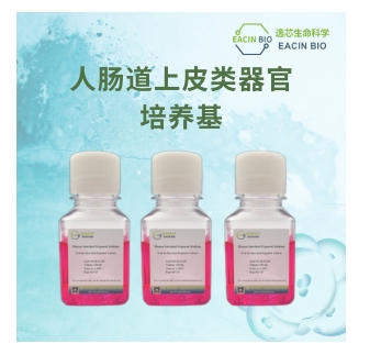 人肠道上皮类器官培养基（Human Intestinal Organoid Medium ）